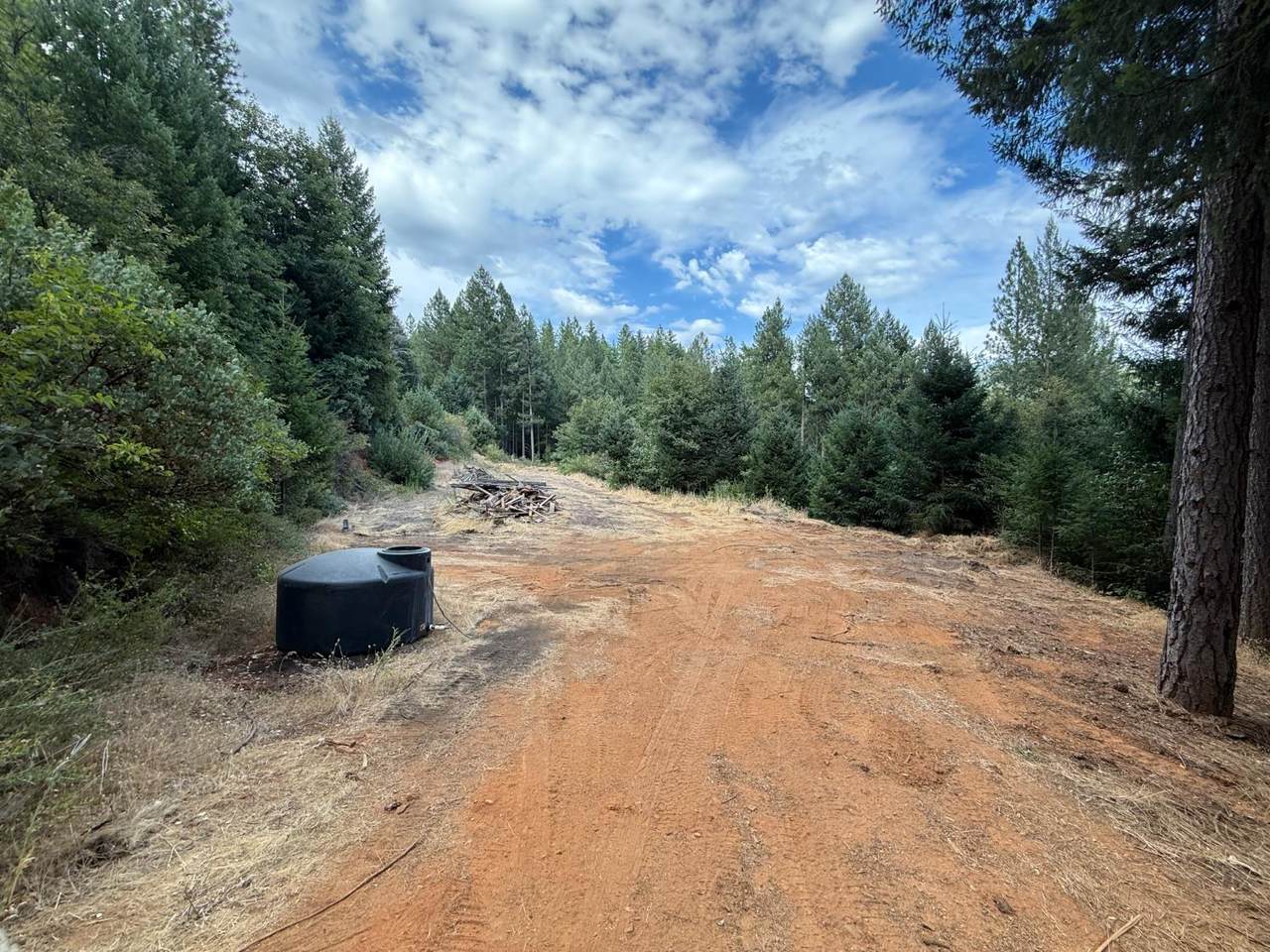 19707 Grizzly Creek Road - Photo 1
