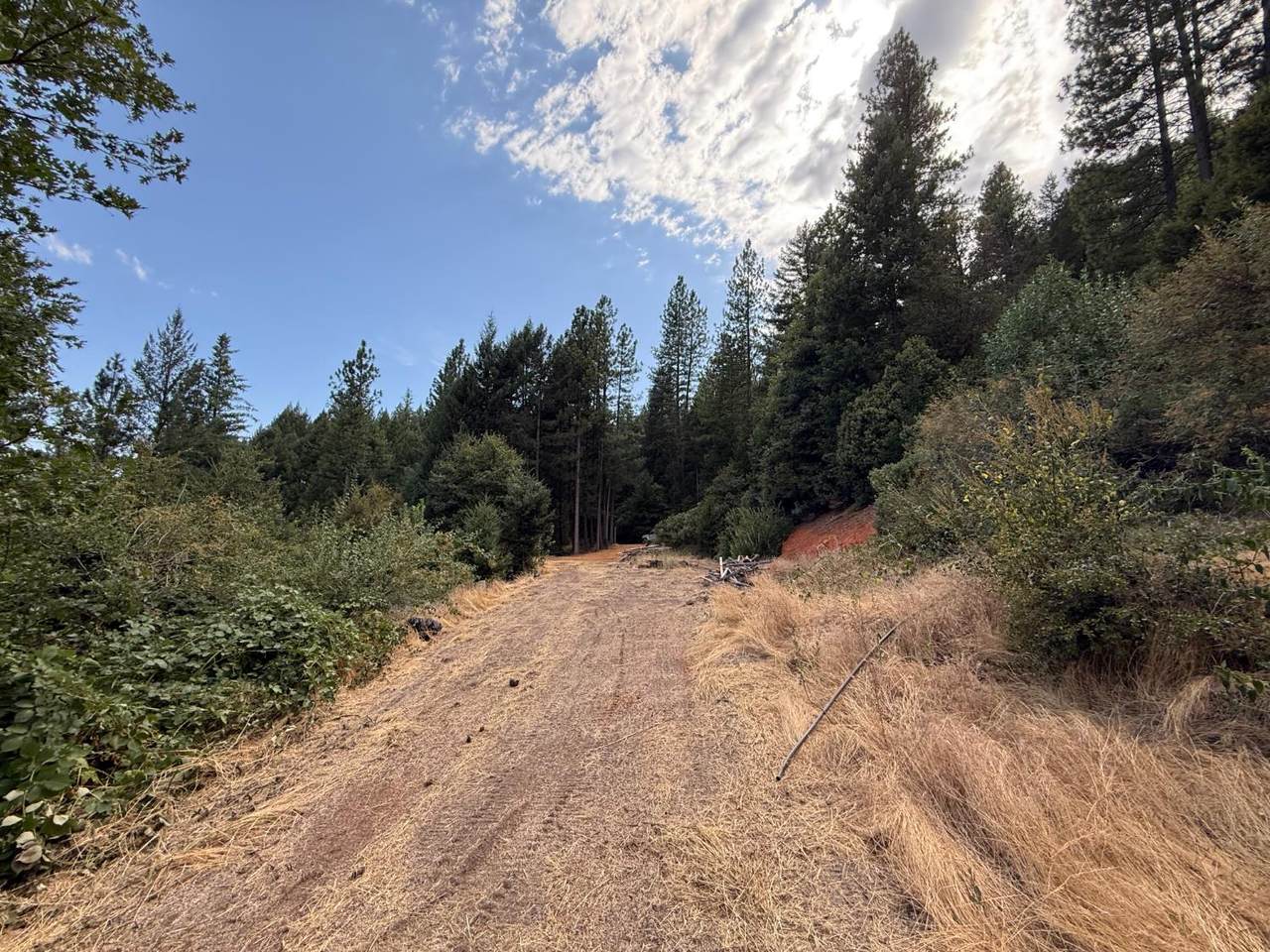 https://bt-photos.global.ssl.fastly.net/sacramento/1280_boomver_1_560905191-2.jpg