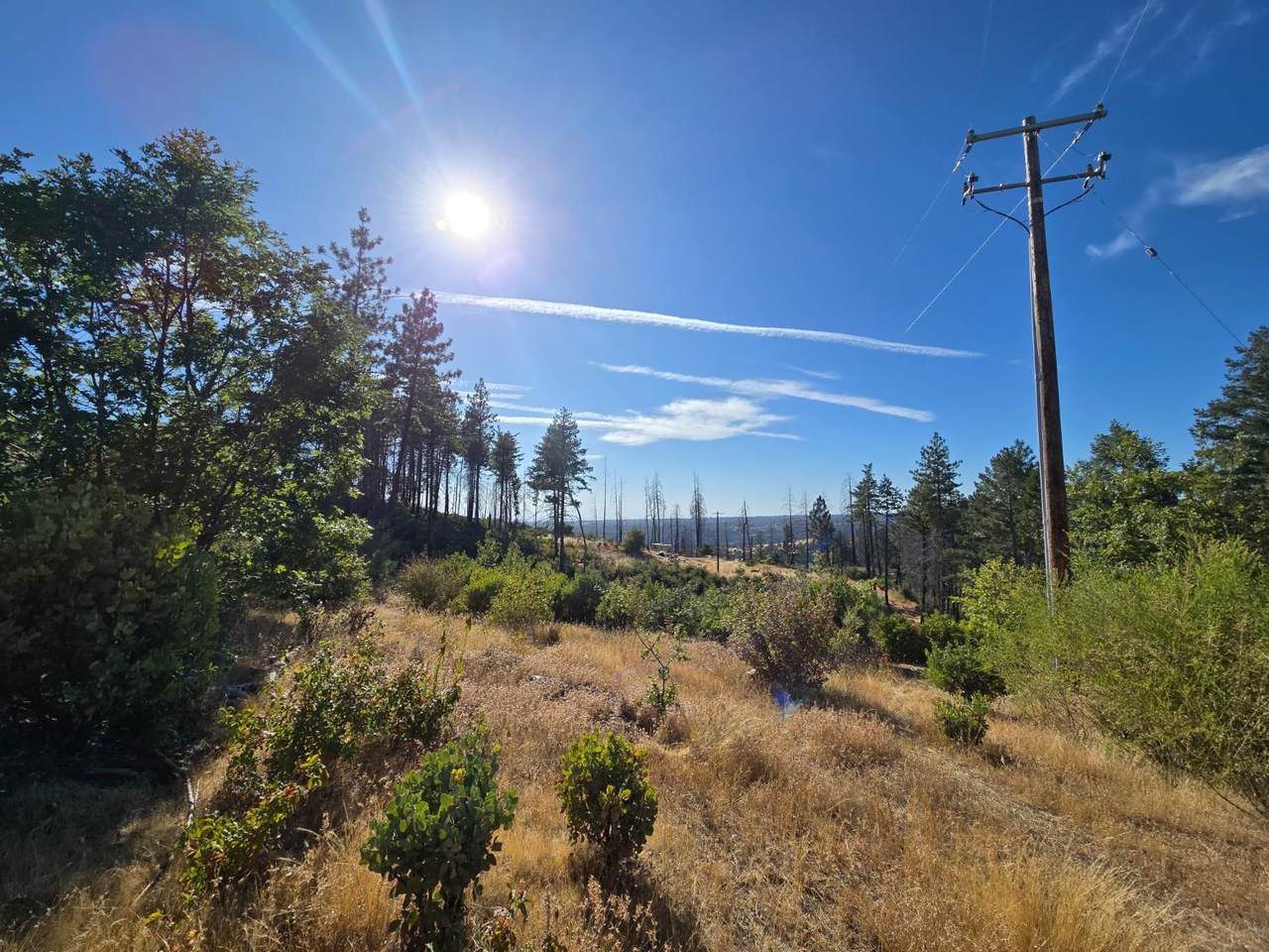 https://bt-photos.global.ssl.fastly.net/sacramento/1280_boomver_1_560907854-2.jpg
