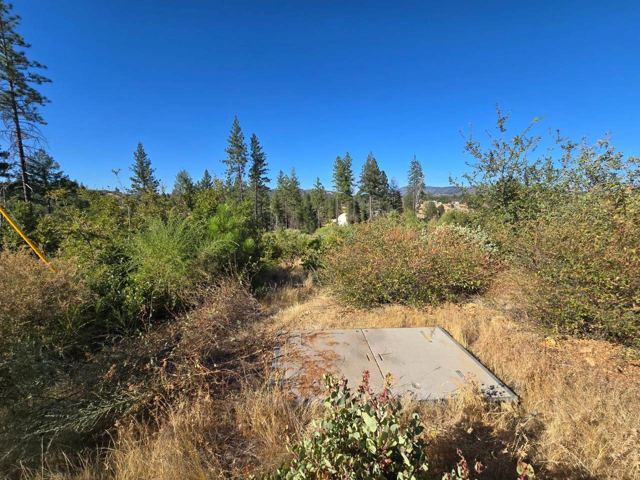 https://bt-photos.global.ssl.fastly.net/sacramento/1280_boomver_1_560907854-2.jpg
