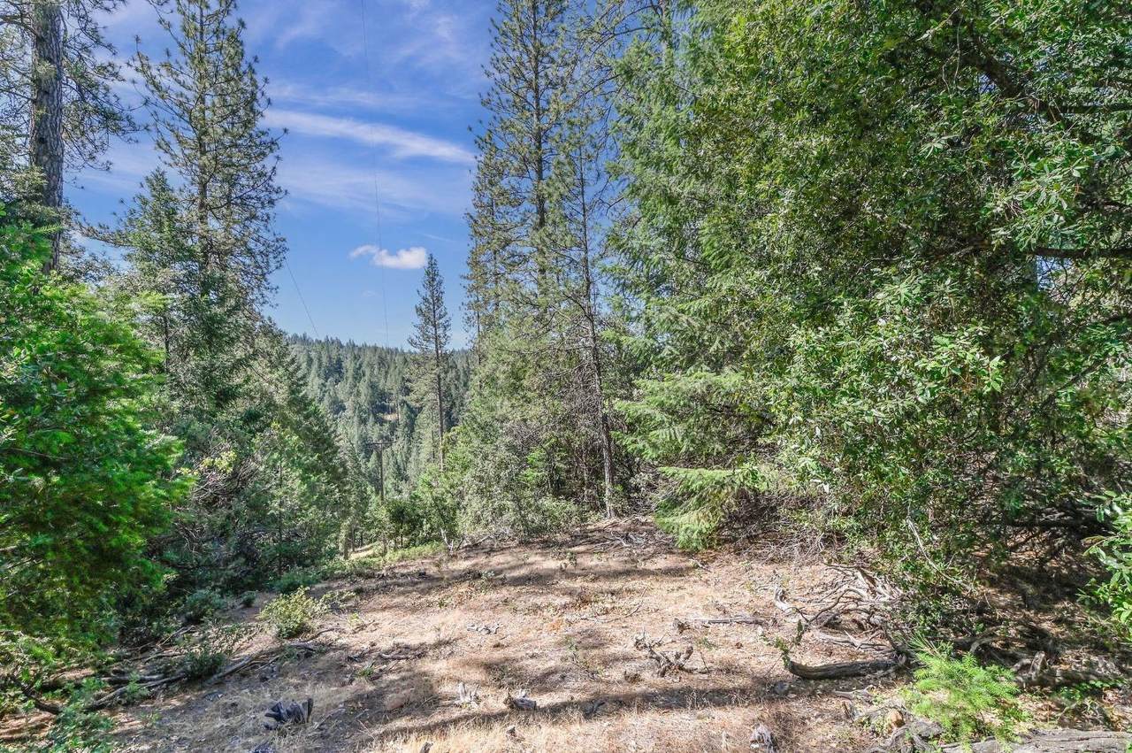 21670 Clute Canyon Road - Photo 1