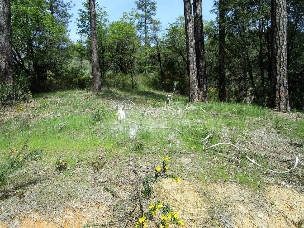 https://bt-photos.global.ssl.fastly.net/sacramento/1280_boomver_1_560913126-2.jpg
