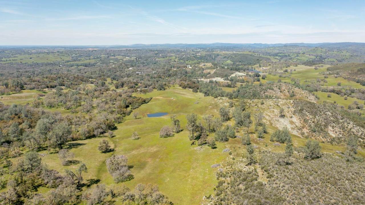 https://bt-photos.global.ssl.fastly.net/sacramento/1280_boomver_1_560913584-2.jpg