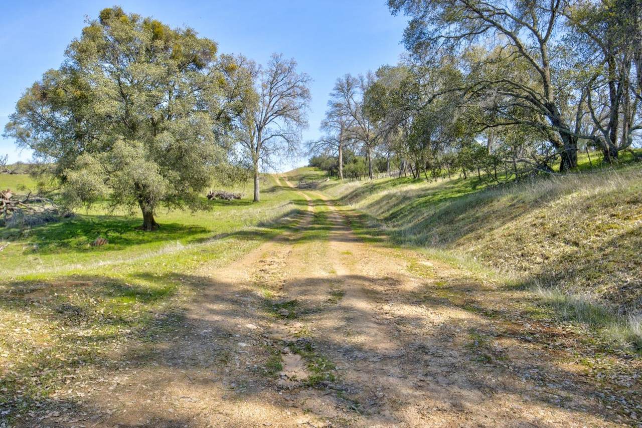 https://bt-photos.global.ssl.fastly.net/sacramento/1280_boomver_1_560913584-2.jpg