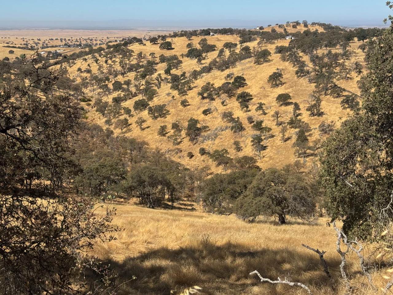 https://bt-photos.global.ssl.fastly.net/sacramento/1280_boomver_1_560914630-2.jpg