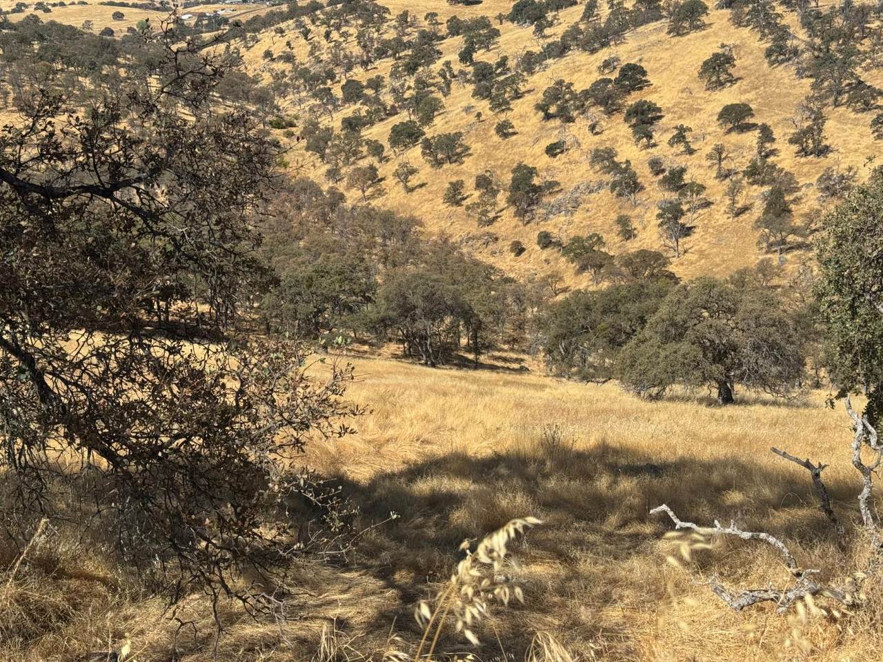 https://bt-photos.global.ssl.fastly.net/sacramento/1280_boomver_1_560914630-2.jpg