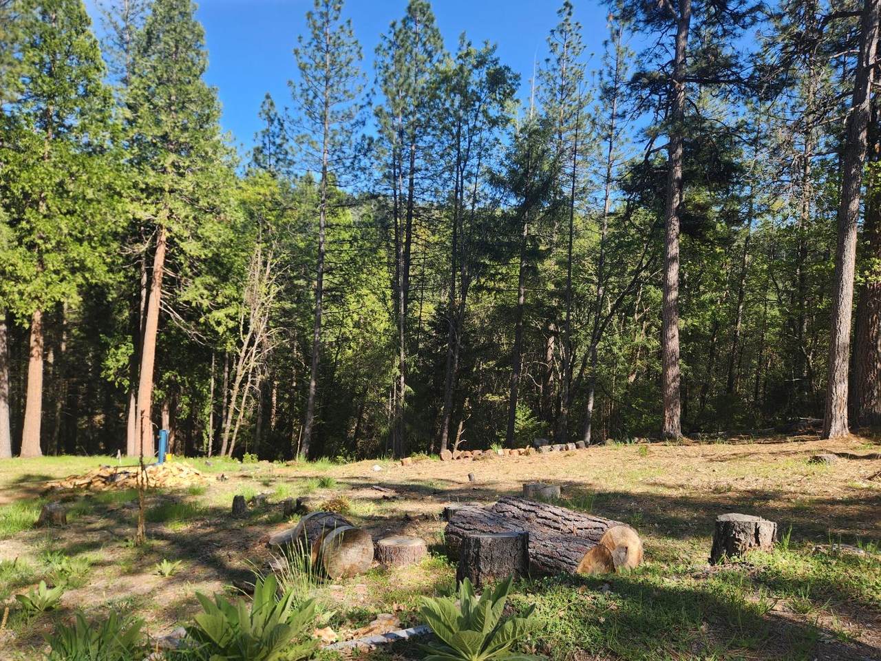 5508 Five Spot Road - Photo 1