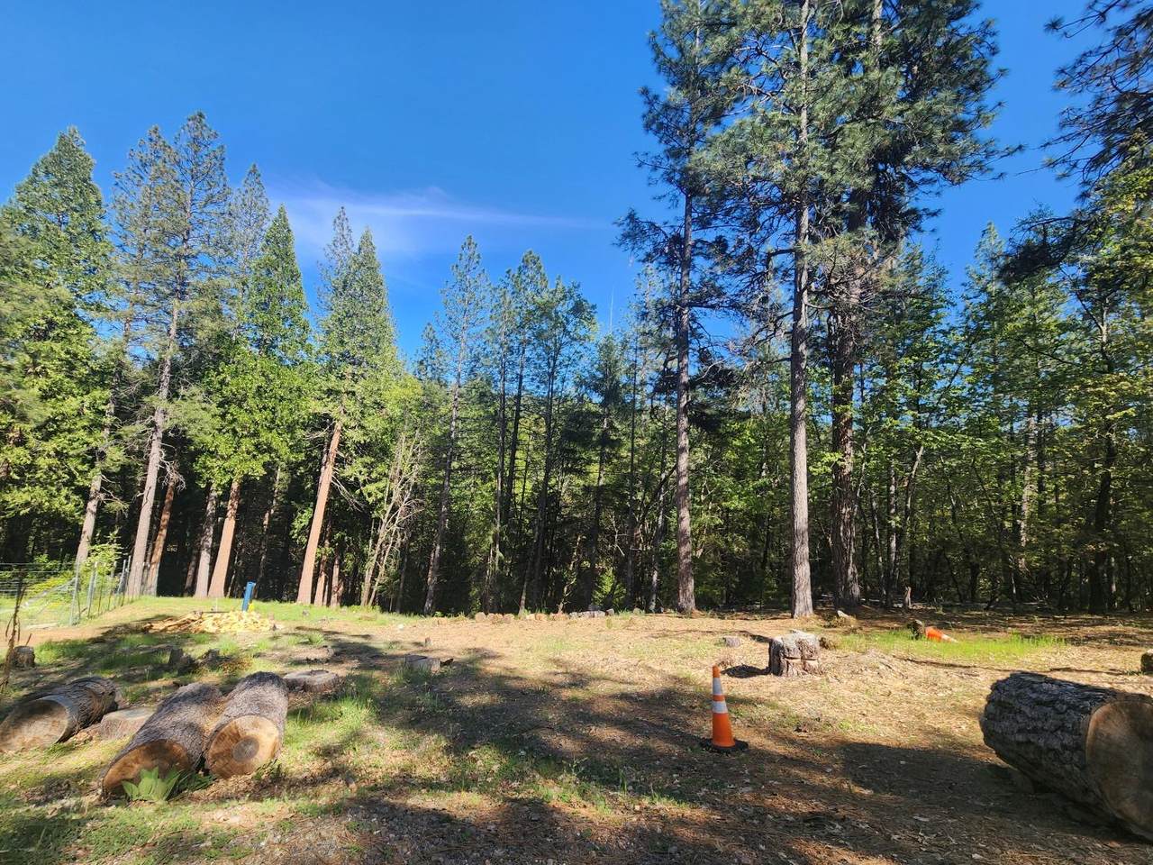 https://bt-photos.global.ssl.fastly.net/sacramento/1280_boomver_1_560916040-2.jpg