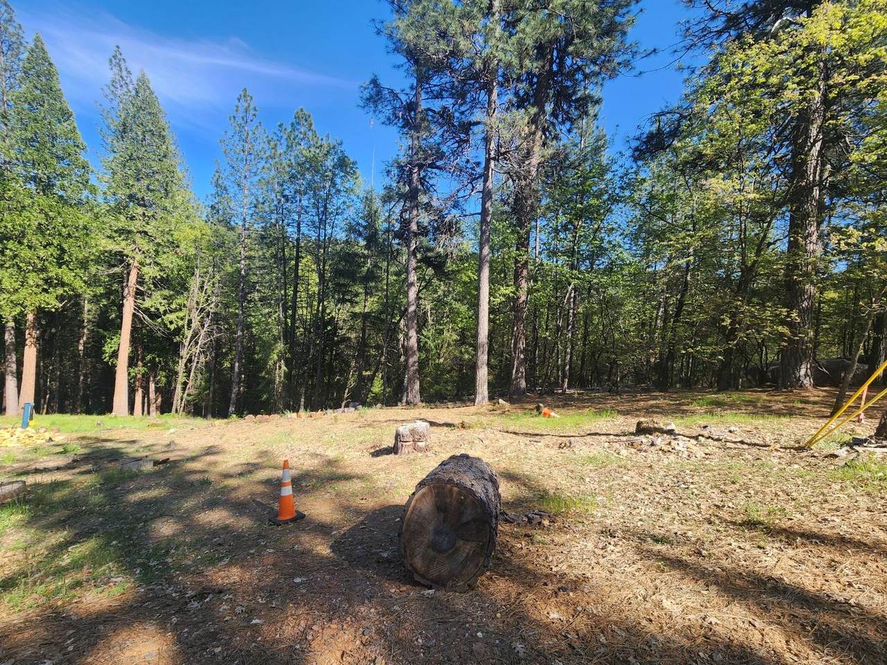 https://bt-photos.global.ssl.fastly.net/sacramento/1280_boomver_1_560916040-2.jpg