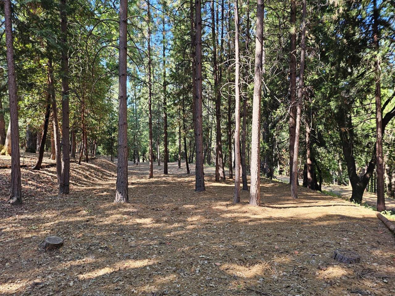 https://bt-photos.global.ssl.fastly.net/sacramento/1280_boomver_1_560916172-2.jpg