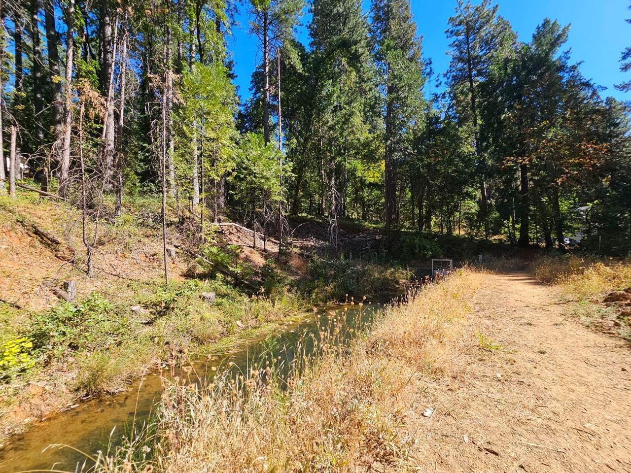 https://bt-photos.global.ssl.fastly.net/sacramento/1280_boomver_1_560916172-2.jpg