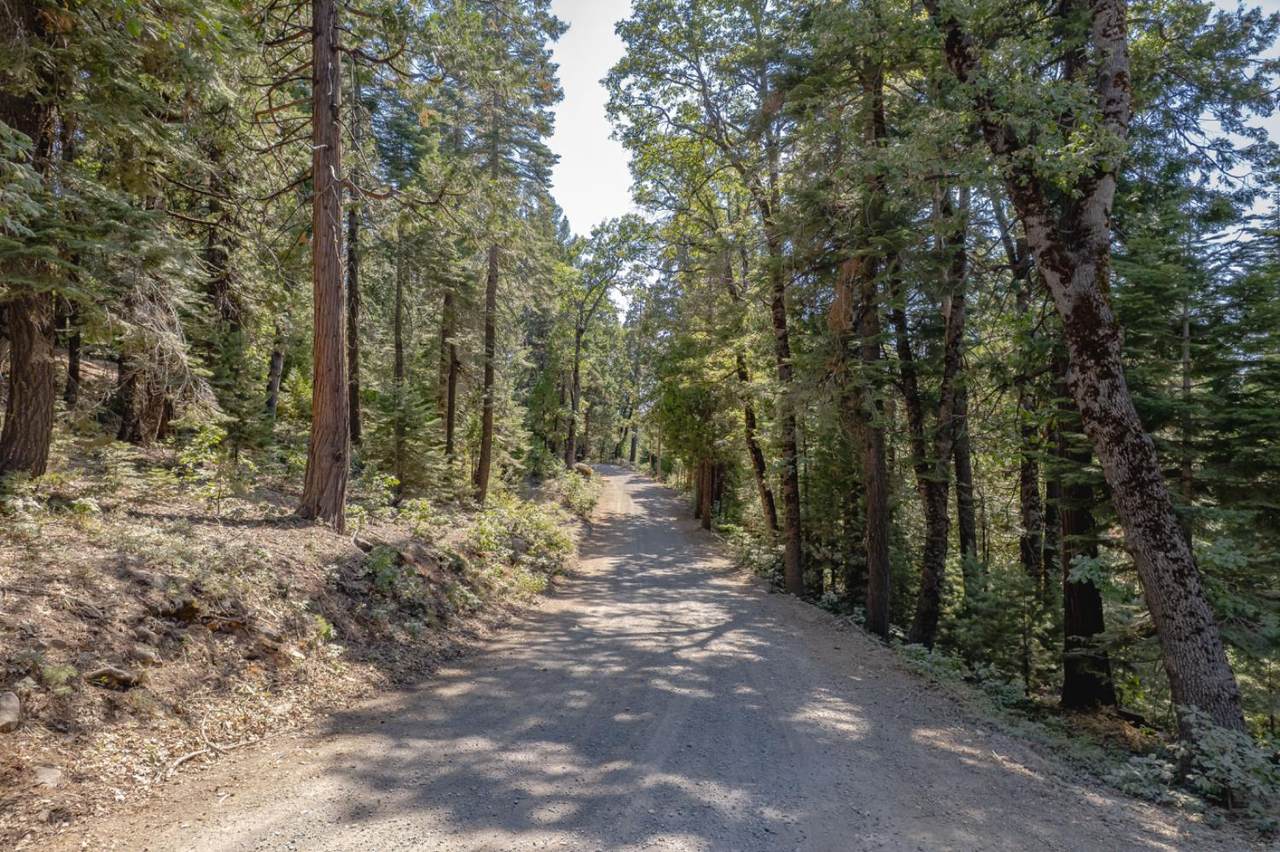 https://bt-photos.global.ssl.fastly.net/sacramento/1280_boomver_1_560916432-2.jpg