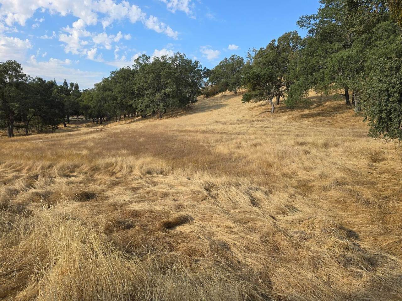 https://bt-photos.global.ssl.fastly.net/sacramento/1280_boomver_1_560916478-2.jpg