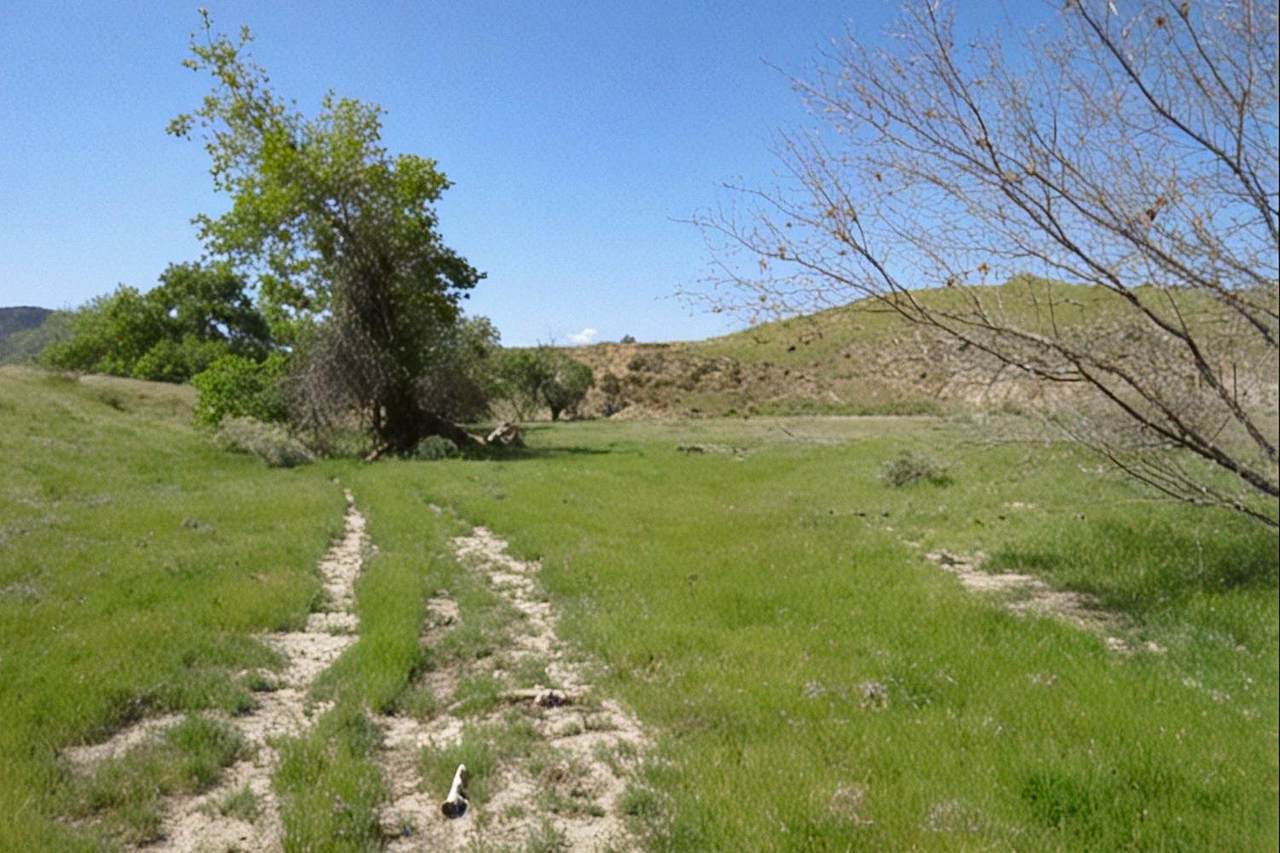 0 Hwy 198 - Photo 1