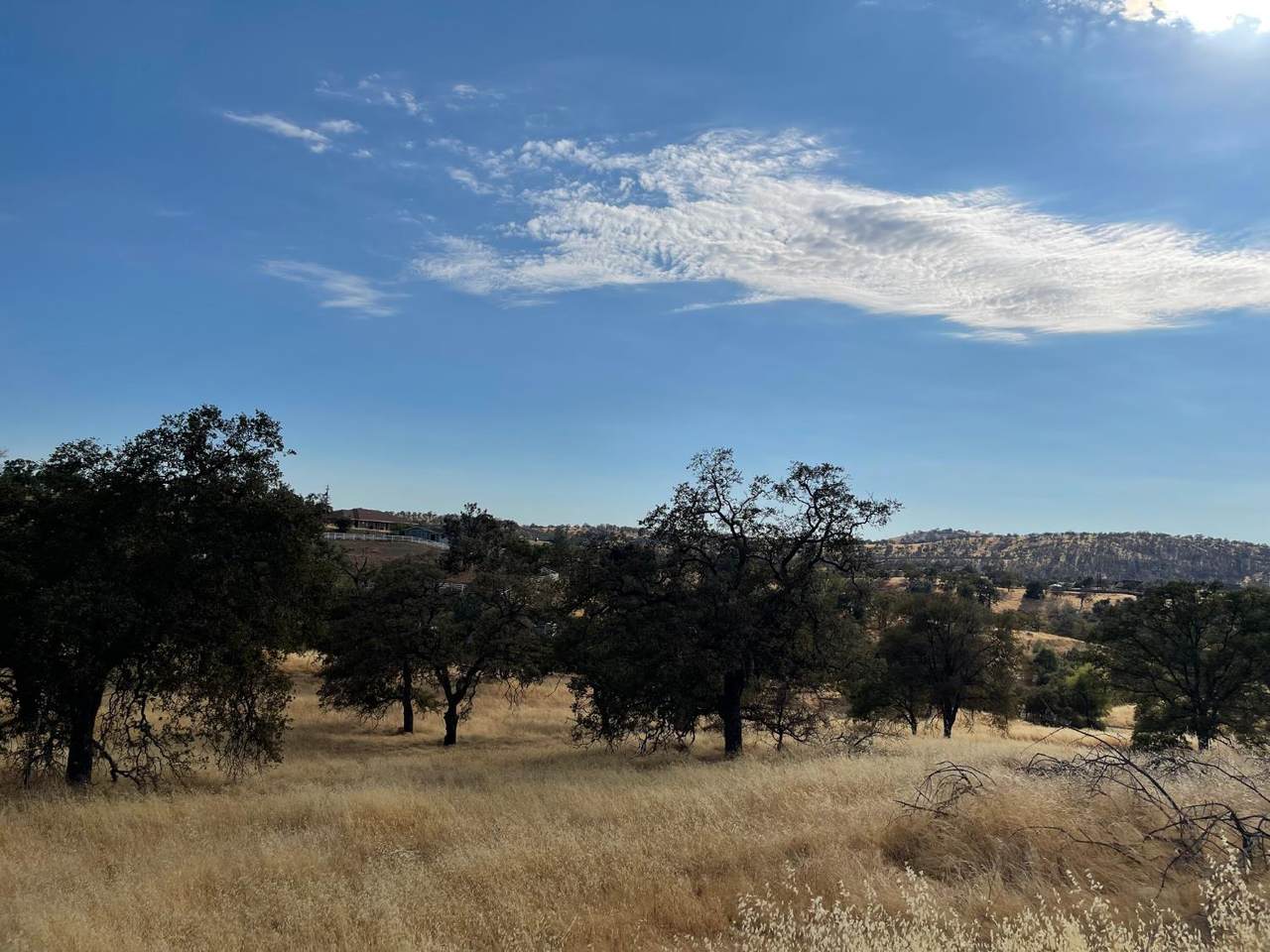 https://bt-photos.global.ssl.fastly.net/sacramento/1280_boomver_1_560916757-2.jpg