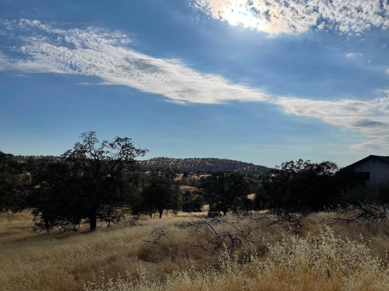 https://bt-photos.global.ssl.fastly.net/sacramento/1280_boomver_1_560916757-2.jpg