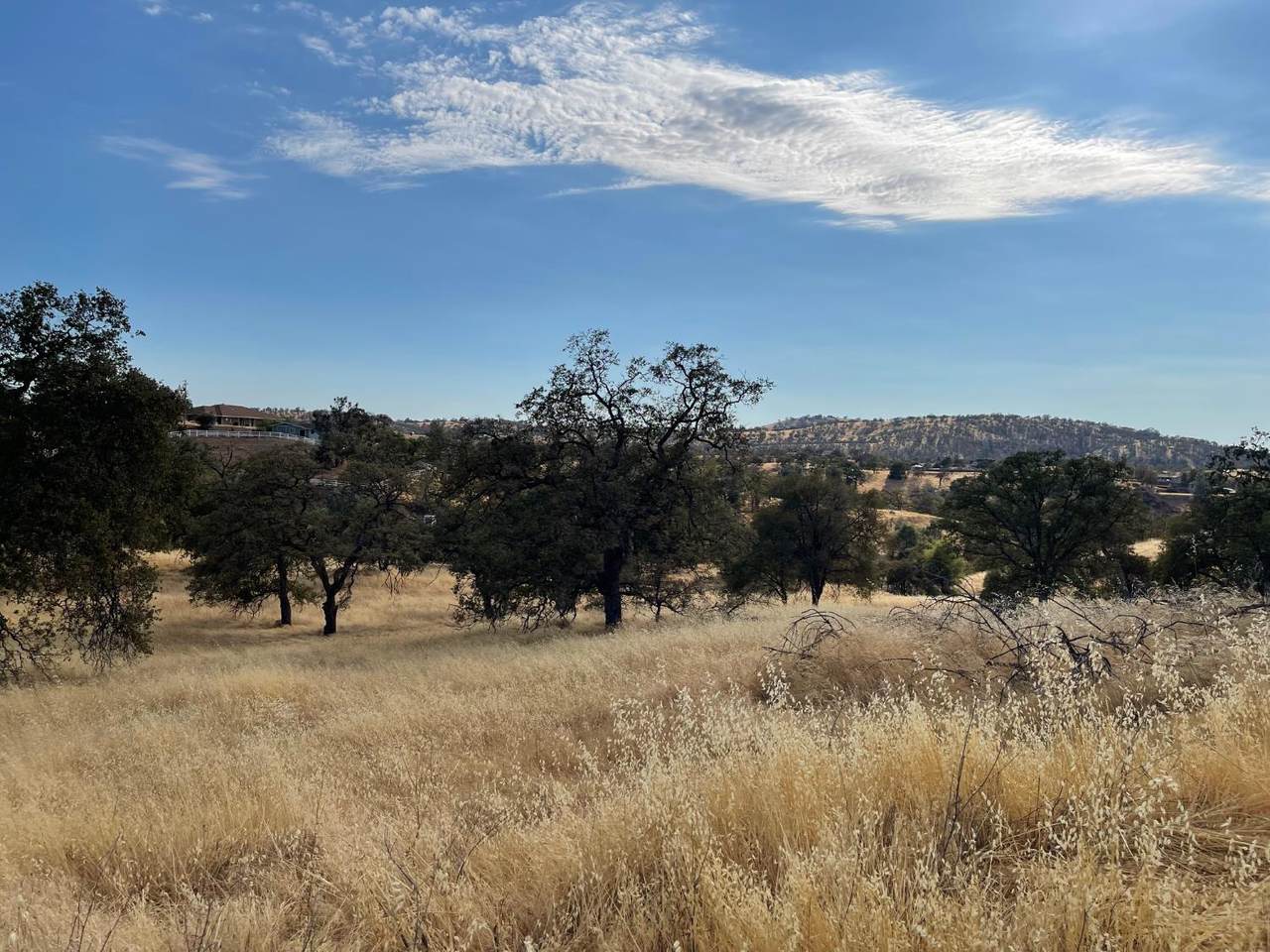 https://bt-photos.global.ssl.fastly.net/sacramento/1280_boomver_1_560916757-2.jpg