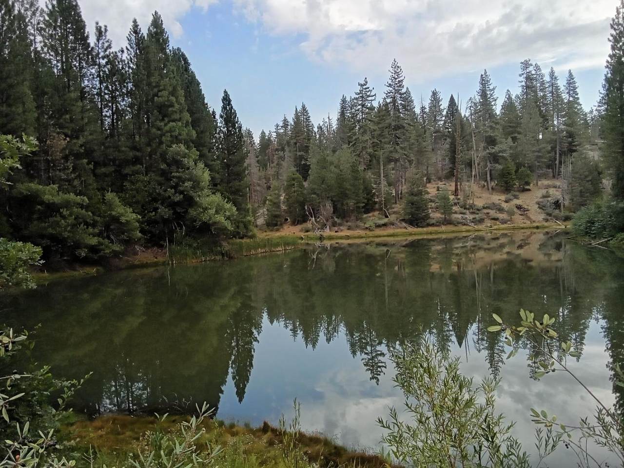https://bt-photos.global.ssl.fastly.net/sacramento/orig_boomver_1_560917672-2.jpg