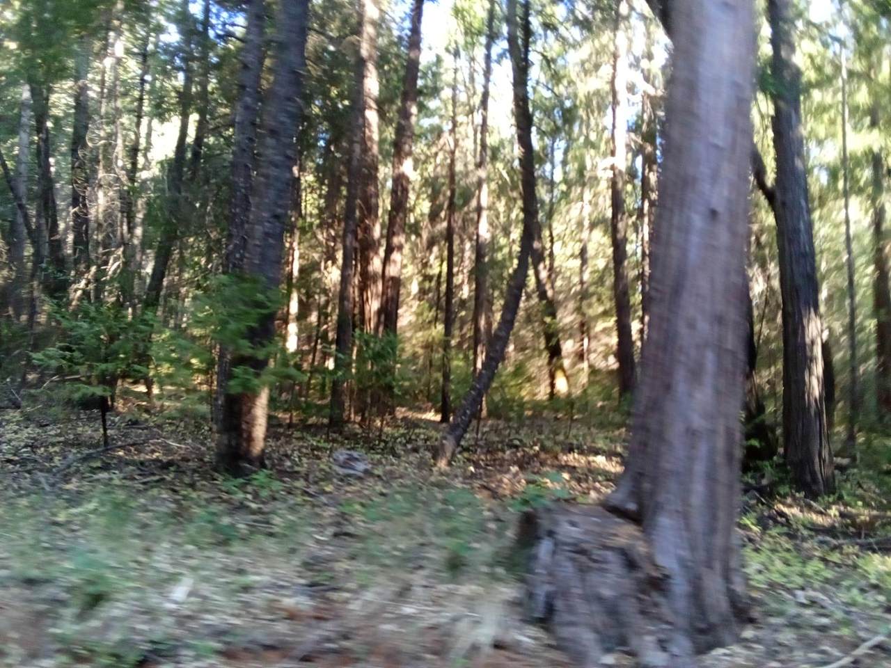 https://bt-photos.global.ssl.fastly.net/sacramento/1280_boomver_1_560918096-2.jpg