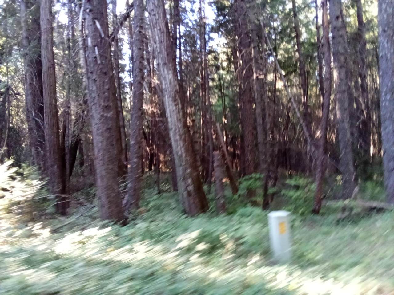 https://bt-photos.global.ssl.fastly.net/sacramento/1280_boomver_1_560918096-2.jpg