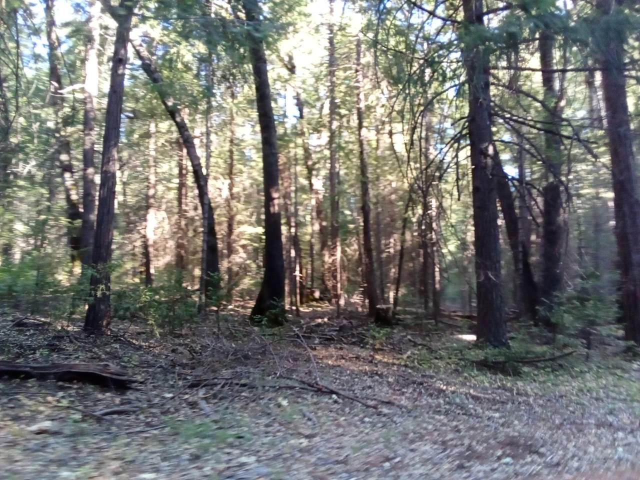 0 3 Just Road - Photo 1