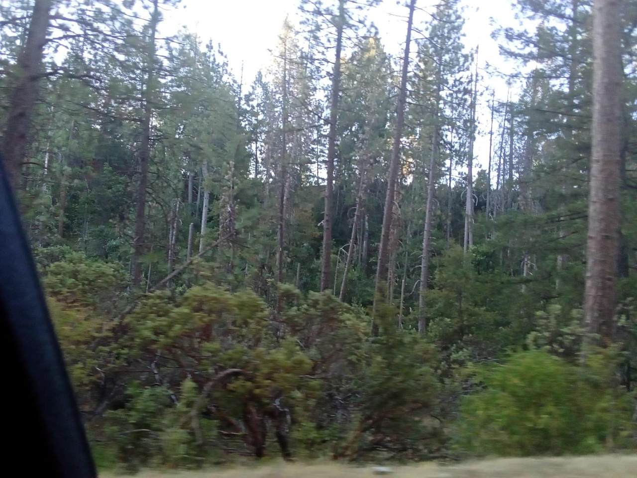 https://bt-photos.global.ssl.fastly.net/sacramento/1280_boomver_1_560918811-2.jpg