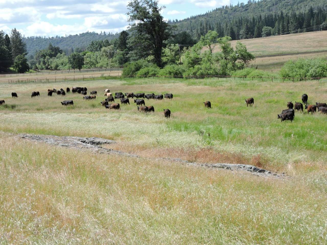 https://bt-photos.global.ssl.fastly.net/sacramento/1280_boomver_1_560920272-2.jpg