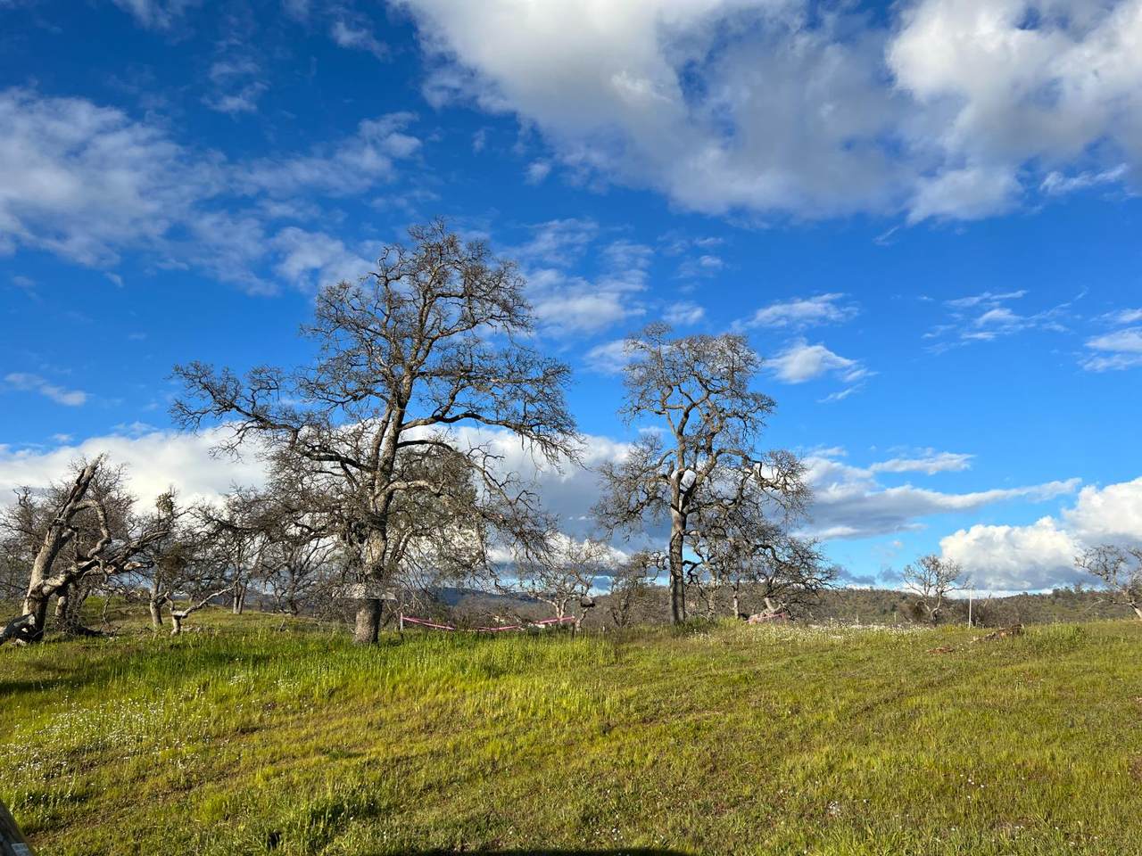 2211 Buena Vista Drive - Photo 1
