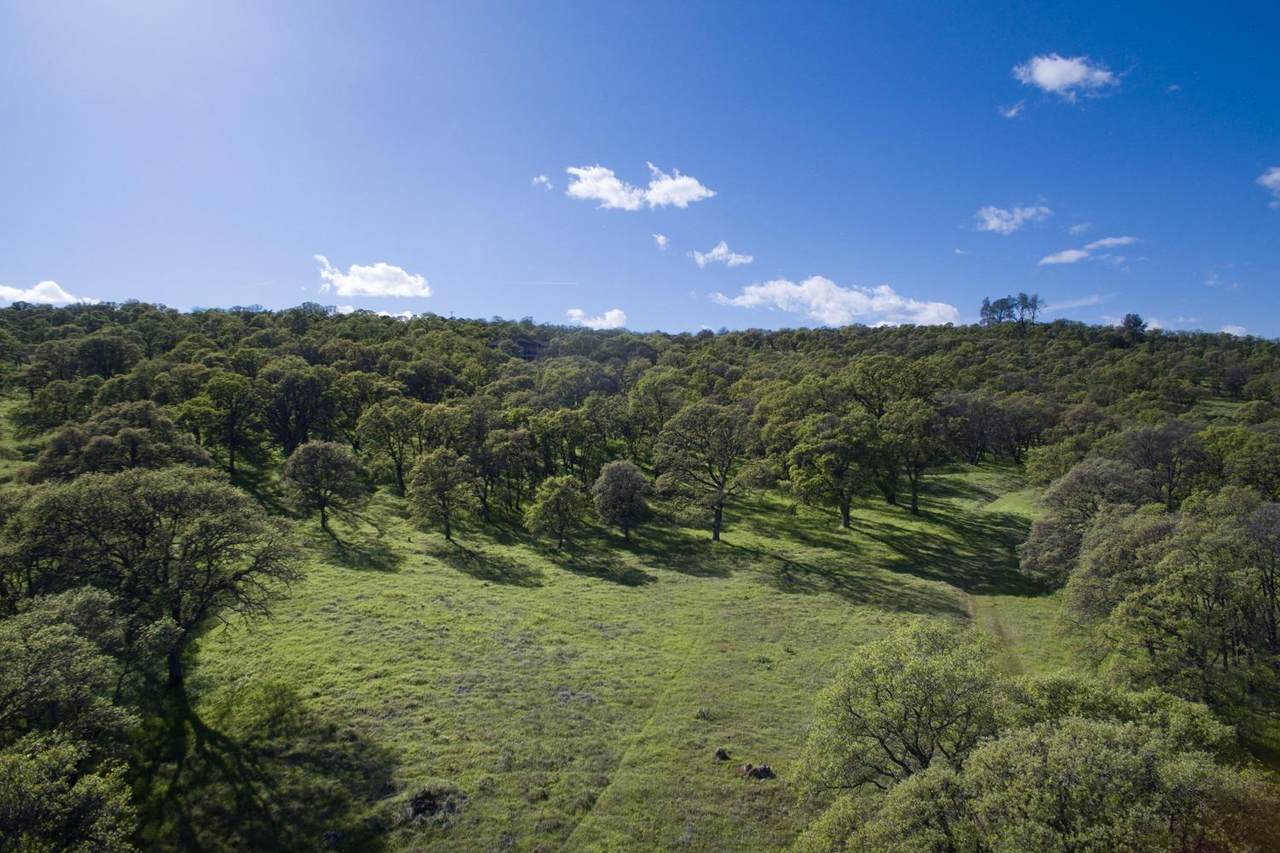 0 Mountain Oak Court - Photo 1