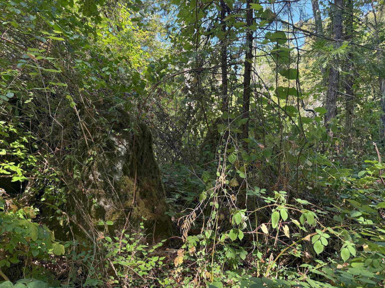 14742 Boquest Drive - Photo 1