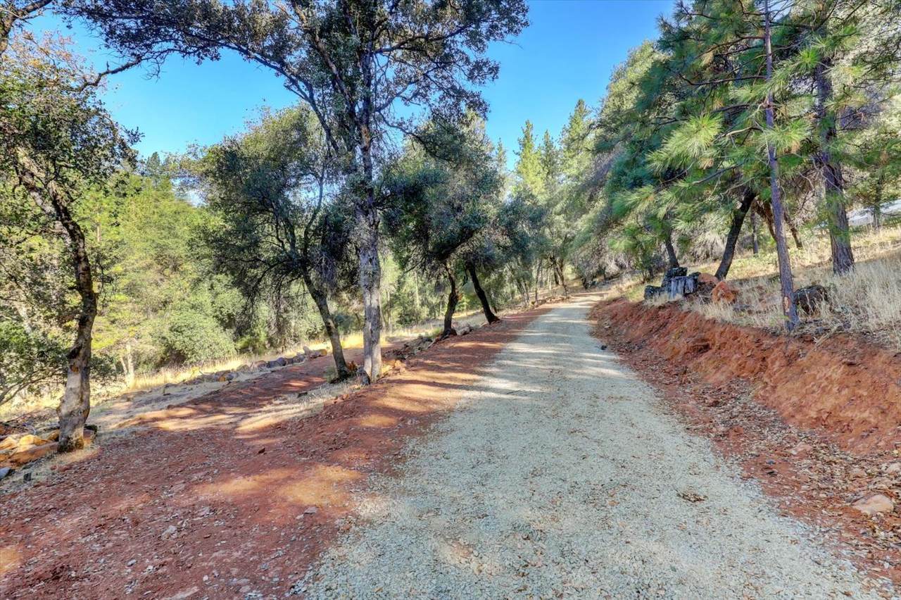 17421 Anona Court - Photo 1