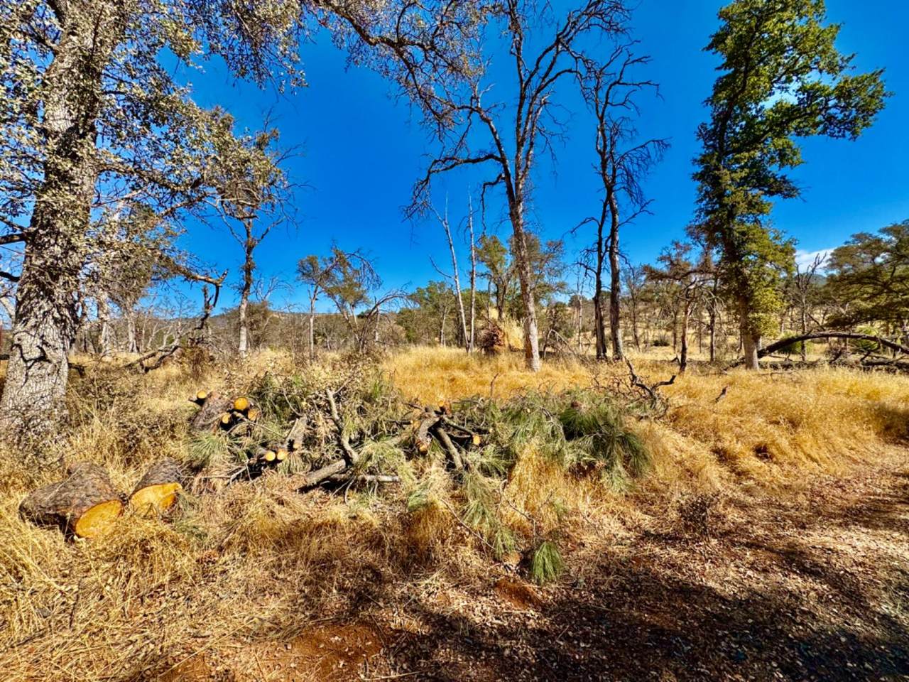 https://bt-photos.global.ssl.fastly.net/sacramento/1280_boomver_1_560928018-2.jpg