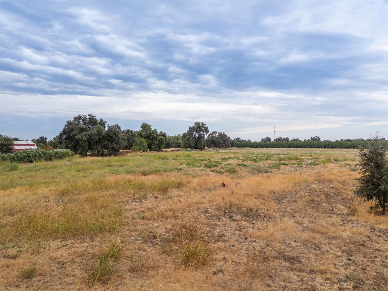 https://bt-photos.global.ssl.fastly.net/sacramento/1280_boomver_1_560928333-2.jpg