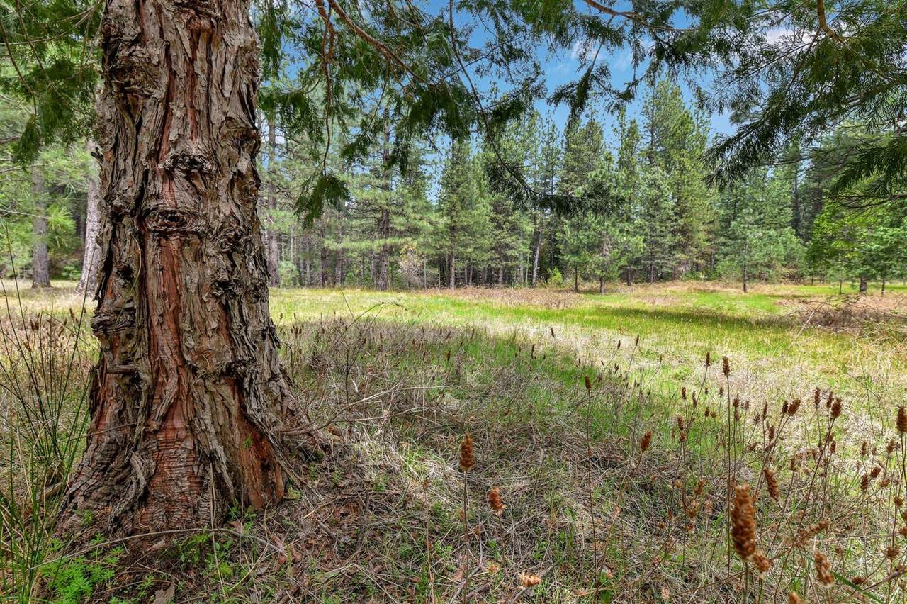 13824 Baker Road - Photo 1