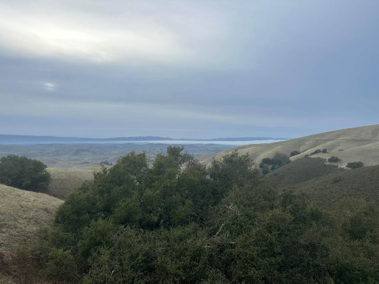 https://bt-photos.global.ssl.fastly.net/sacramento/1280_boomver_1_560931052-2.jpg