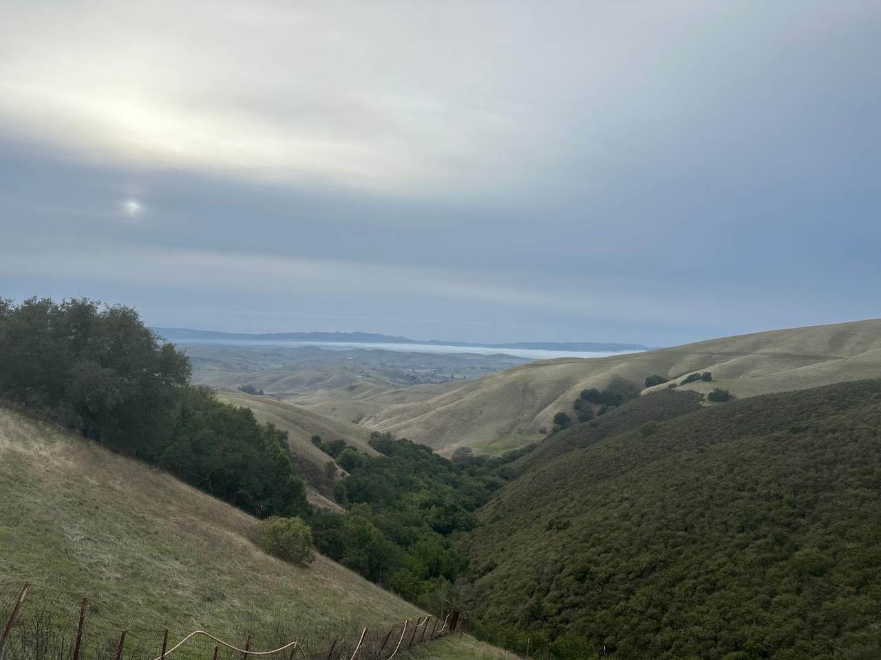 https://bt-photos.global.ssl.fastly.net/sacramento/1280_boomver_1_560931052-2.jpg