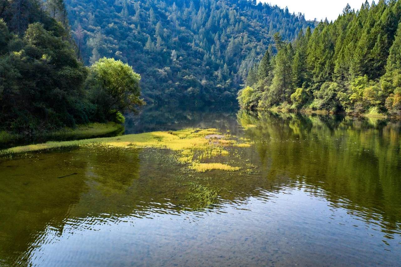 https://bt-photos.global.ssl.fastly.net/sacramento/1280_boomver_1_560932449-2.jpg