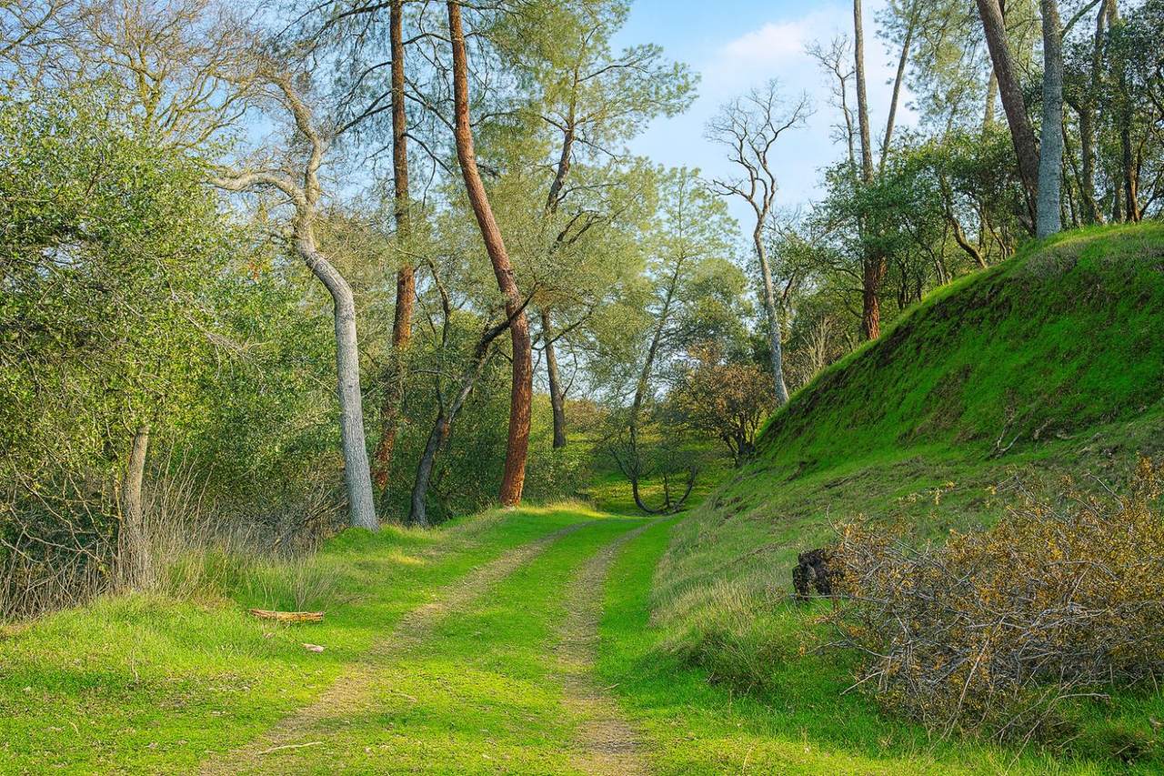 https://bt-photos.global.ssl.fastly.net/sacramento/1280_boomver_1_560932971-2.jpg