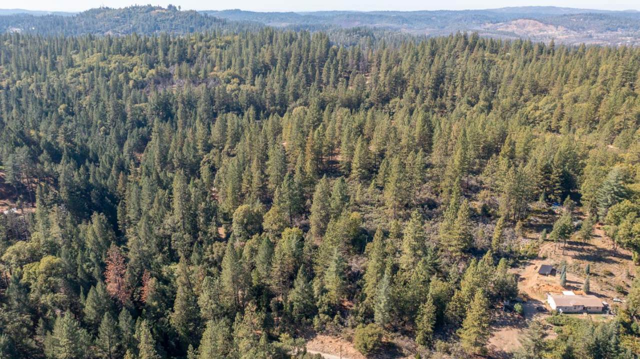0 Old Loggers Lane - Photo 1