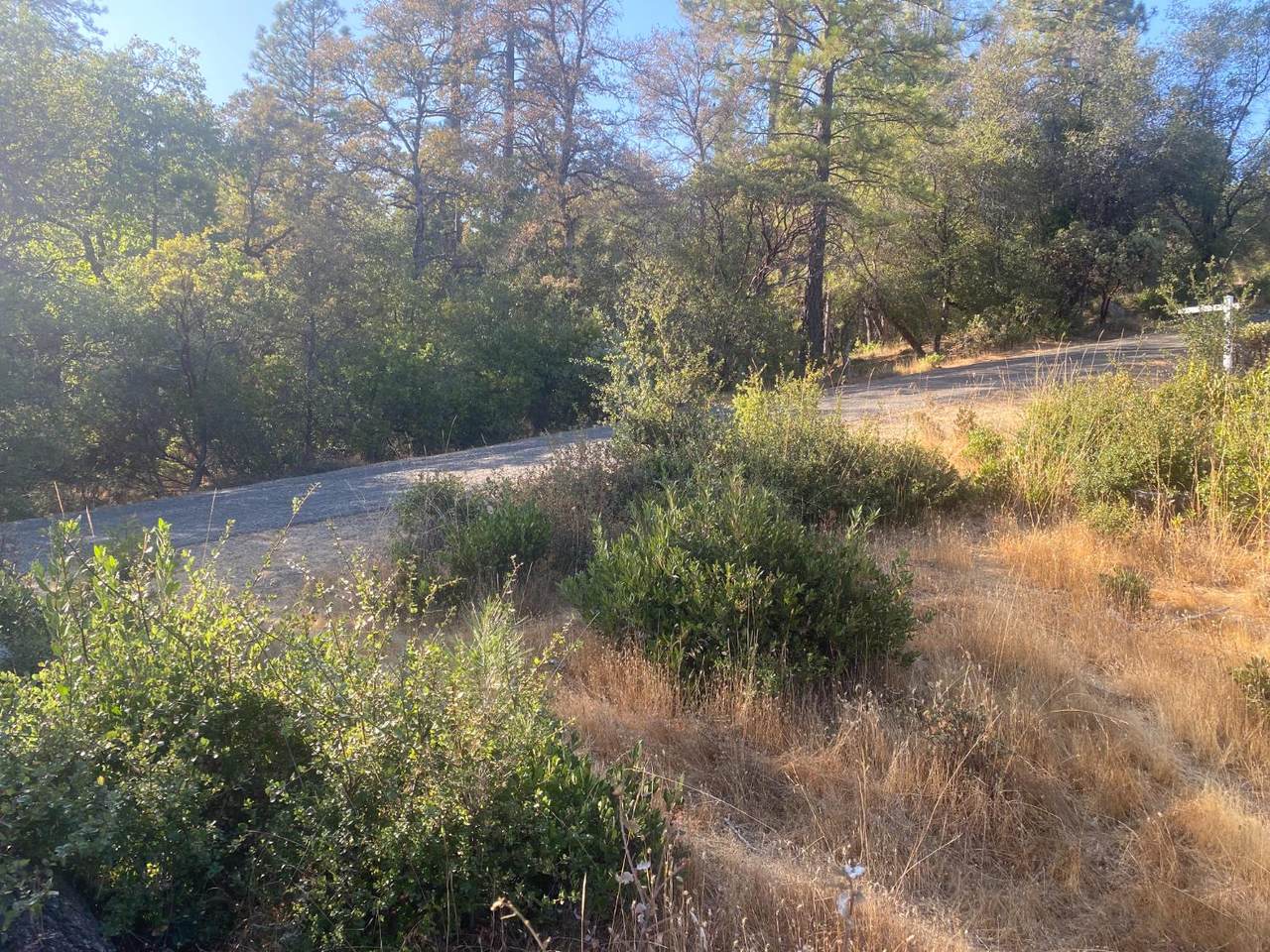 https://bt-photos.global.ssl.fastly.net/sacramento/1280_boomver_1_560933560-2.jpg