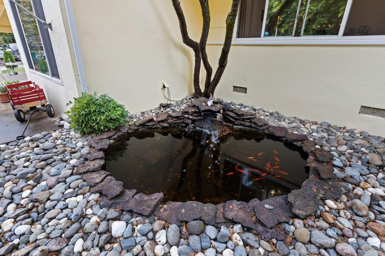 https://bt-photos.global.ssl.fastly.net/sacramento/1280_boomver_1_560935803-2.jpg