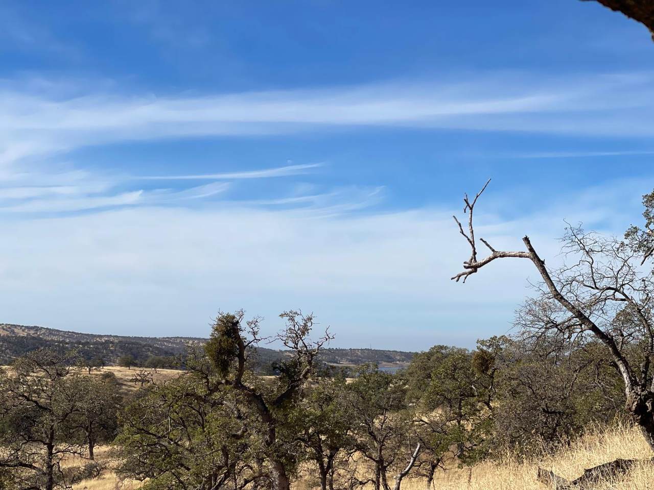 https://bt-photos.global.ssl.fastly.net/sacramento/1280_boomver_1_560936047-2.jpg