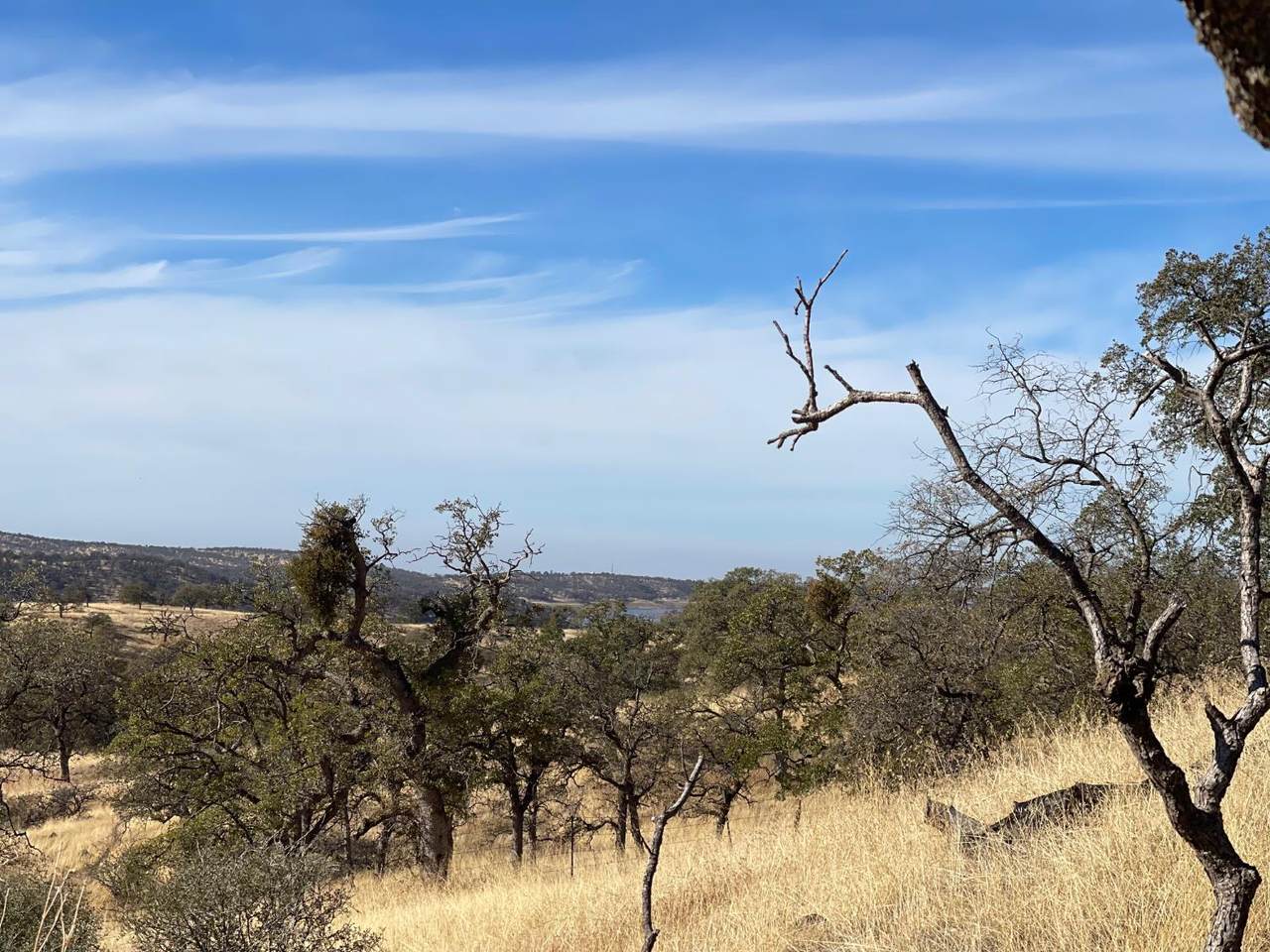 https://bt-photos.global.ssl.fastly.net/sacramento/1280_boomver_1_560936047-2.jpg