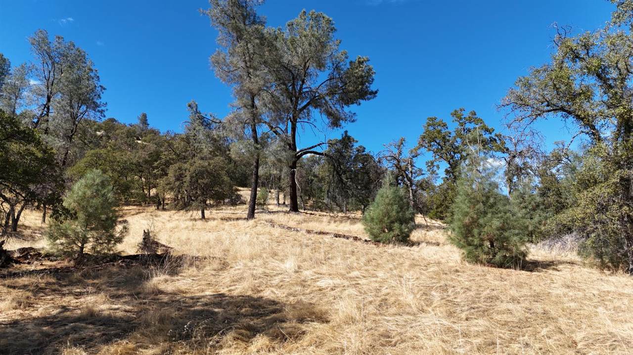 9816 Deer Hollow Trail - Photo 1