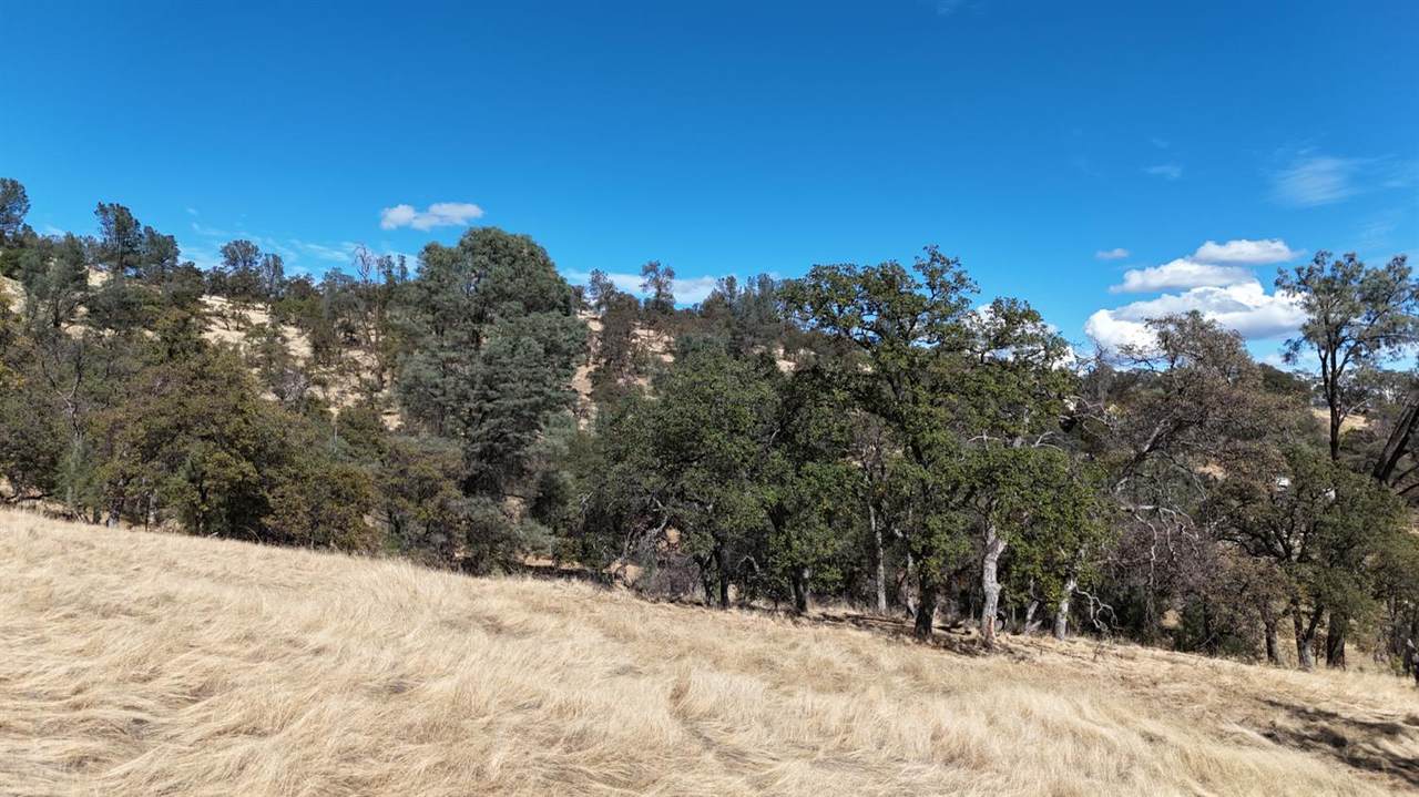 https://bt-photos.global.ssl.fastly.net/sacramento/1280_boomver_1_560940599-2.jpg