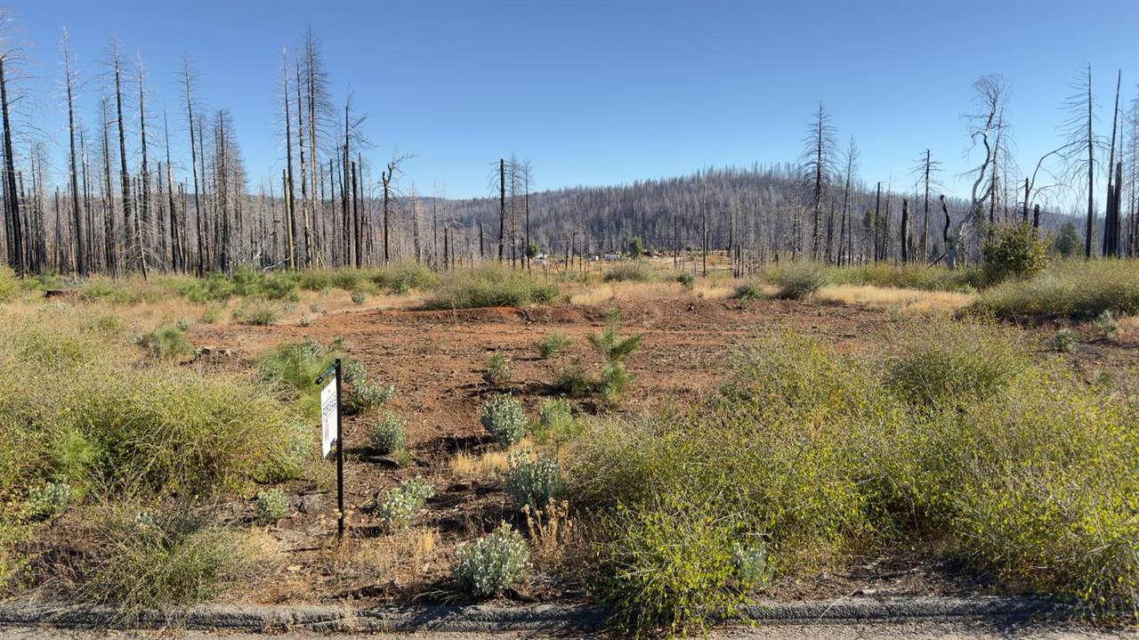 https://bt-photos.global.ssl.fastly.net/sacramento/1280_boomver_1_560940794-2.jpg