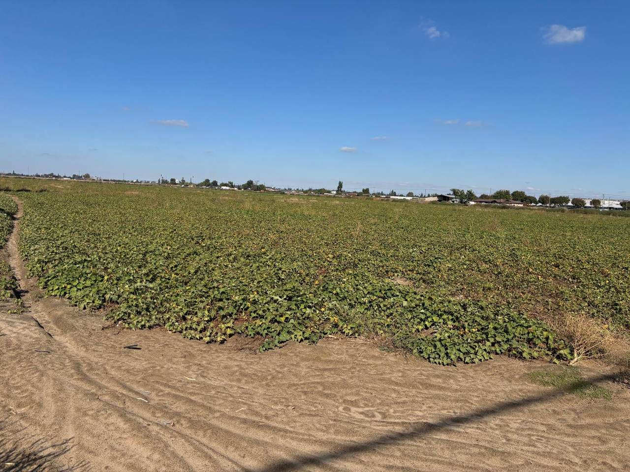 0 Main Street - Photo 1