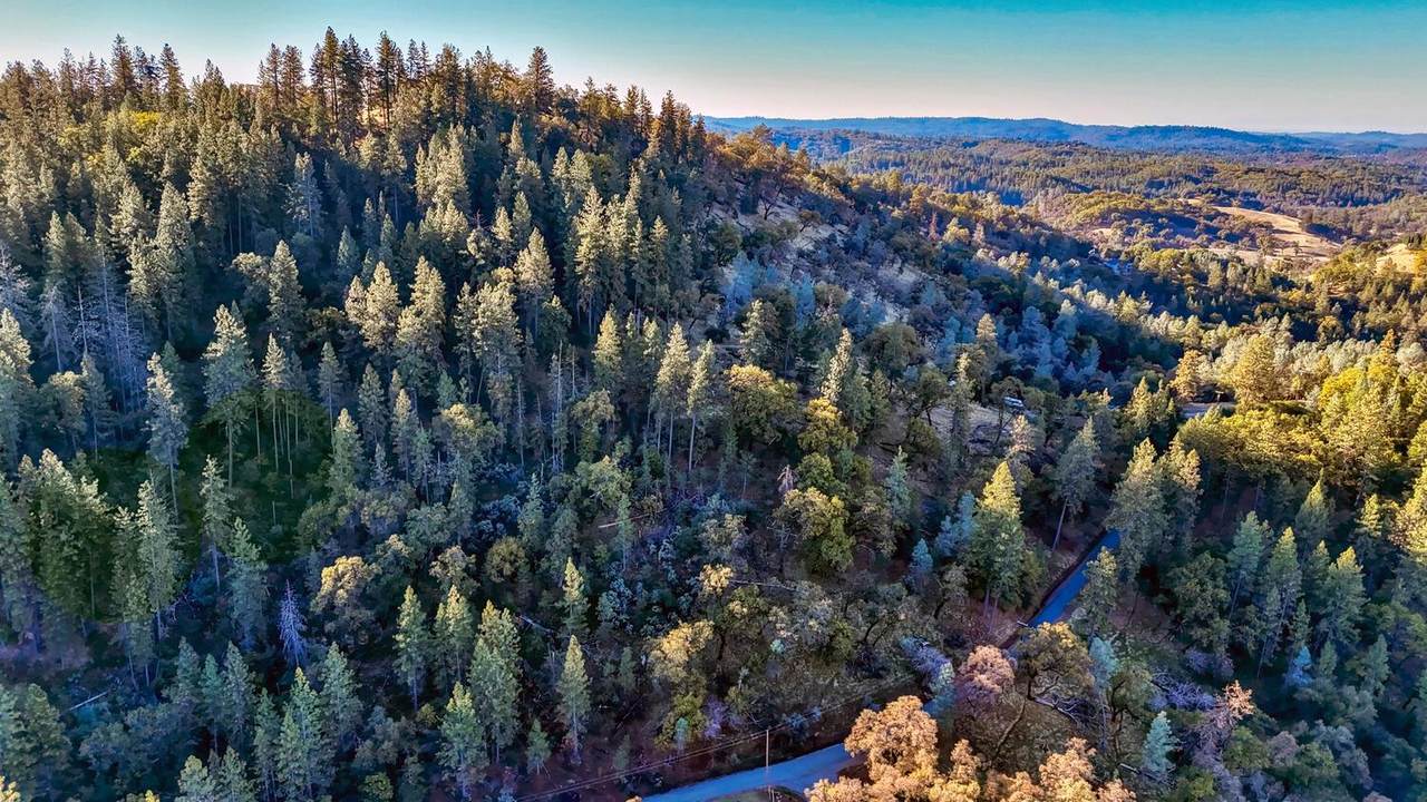 https://bt-photos.global.ssl.fastly.net/sacramento/1280_boomver_1_560944433-2.jpg
