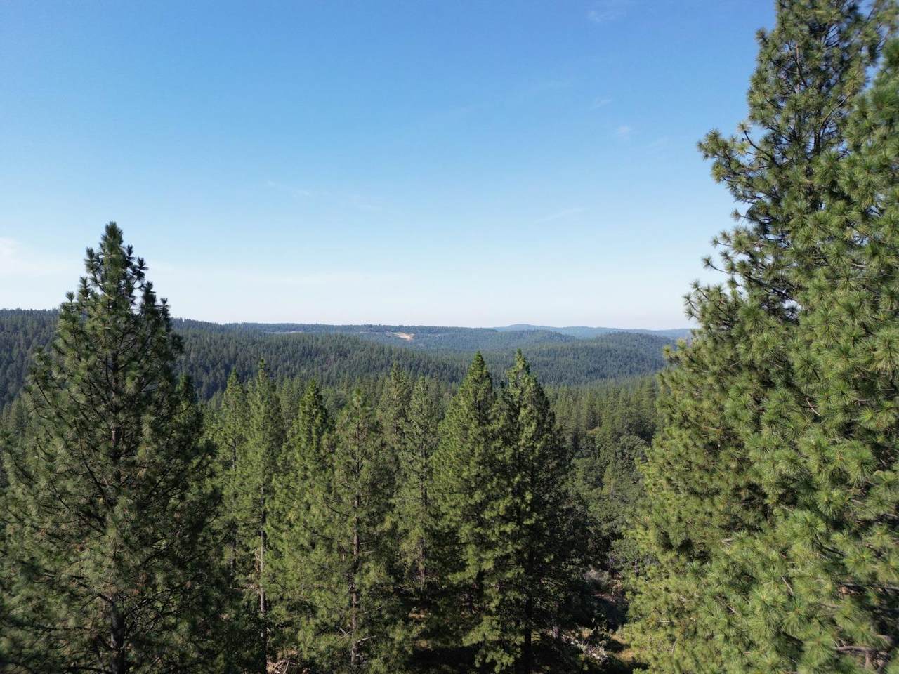 https://bt-photos.global.ssl.fastly.net/sacramento/1280_boomver_1_560945338-2.jpg