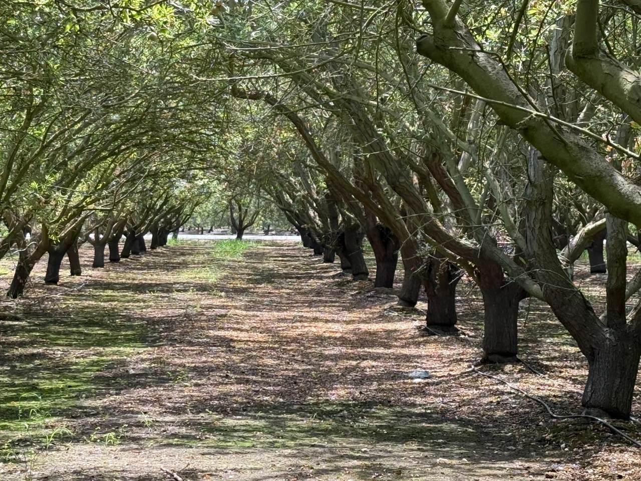 0 Yosemite Blvd. Boulevard - Photo 1